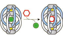Schematische Darstellung des Einschlusses von Molekülen in Koordinationskäfige